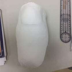 Programa Modular en Protésica del Miembro Inferior