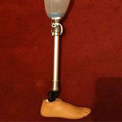 Programa Modular en Protésica del Miembro Inferior