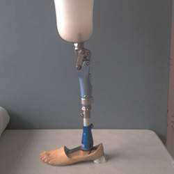 Programa Modular en Protésica del Miembro Inferior